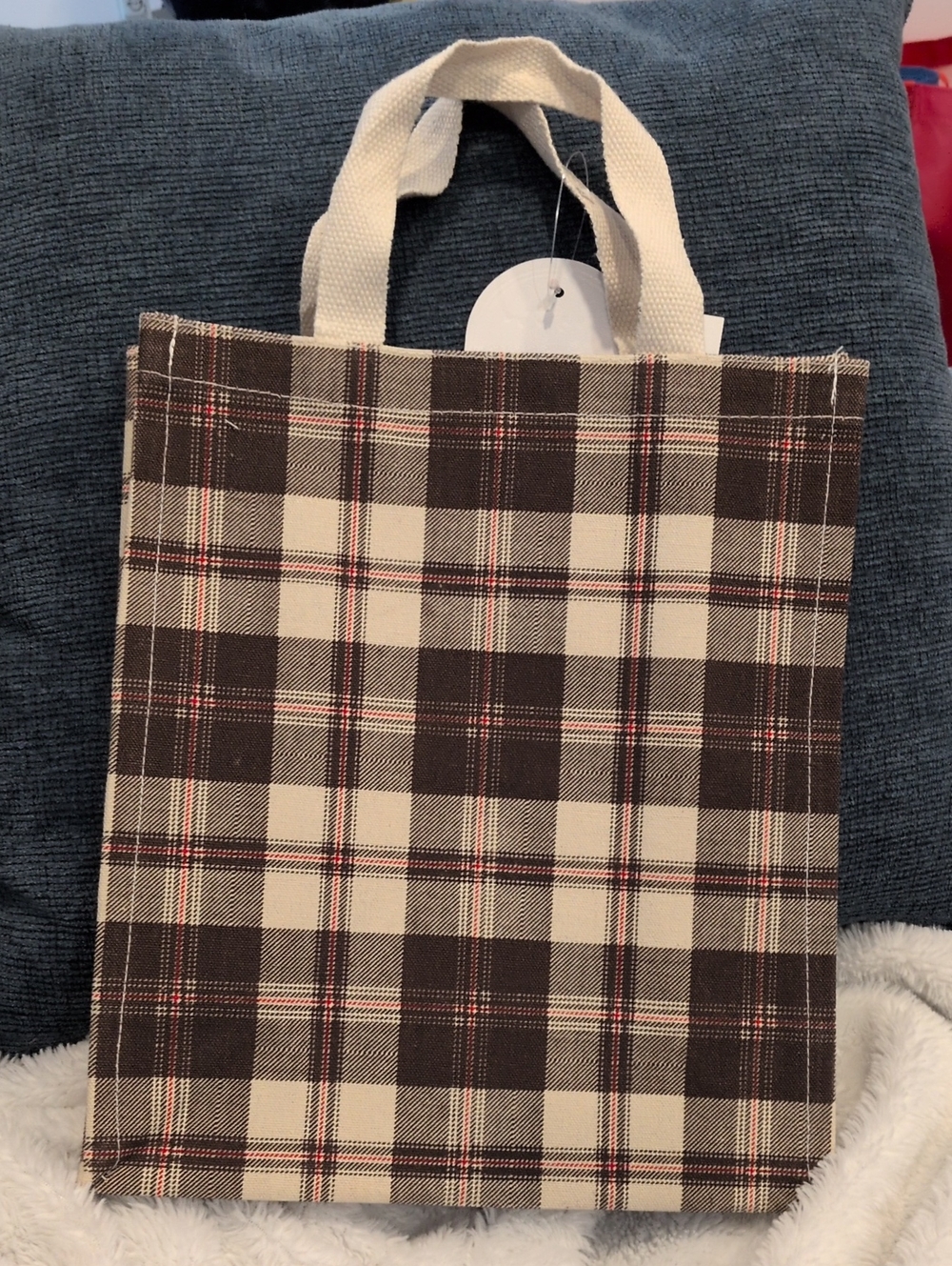 Plaid Canvas Tote Bag - Brown & Cream